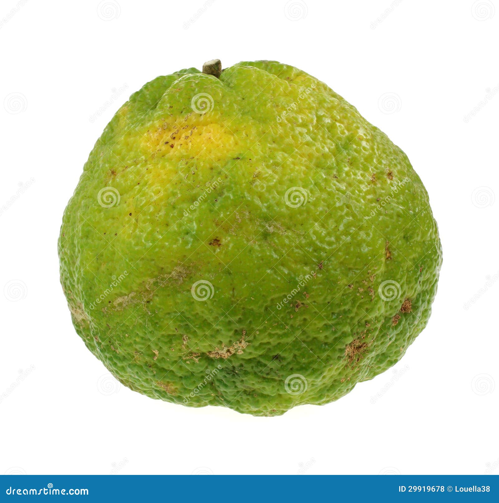 Top 93+ Images citrus also known as “uniq fruit” Full HD, 2k, 4k