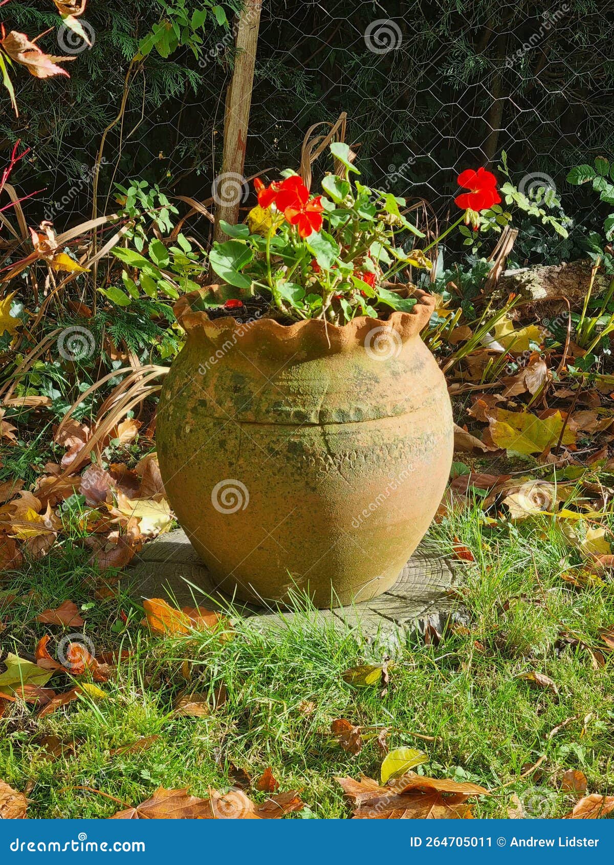 Large vase of flowers stock image. Image of branch, flowere 264705011