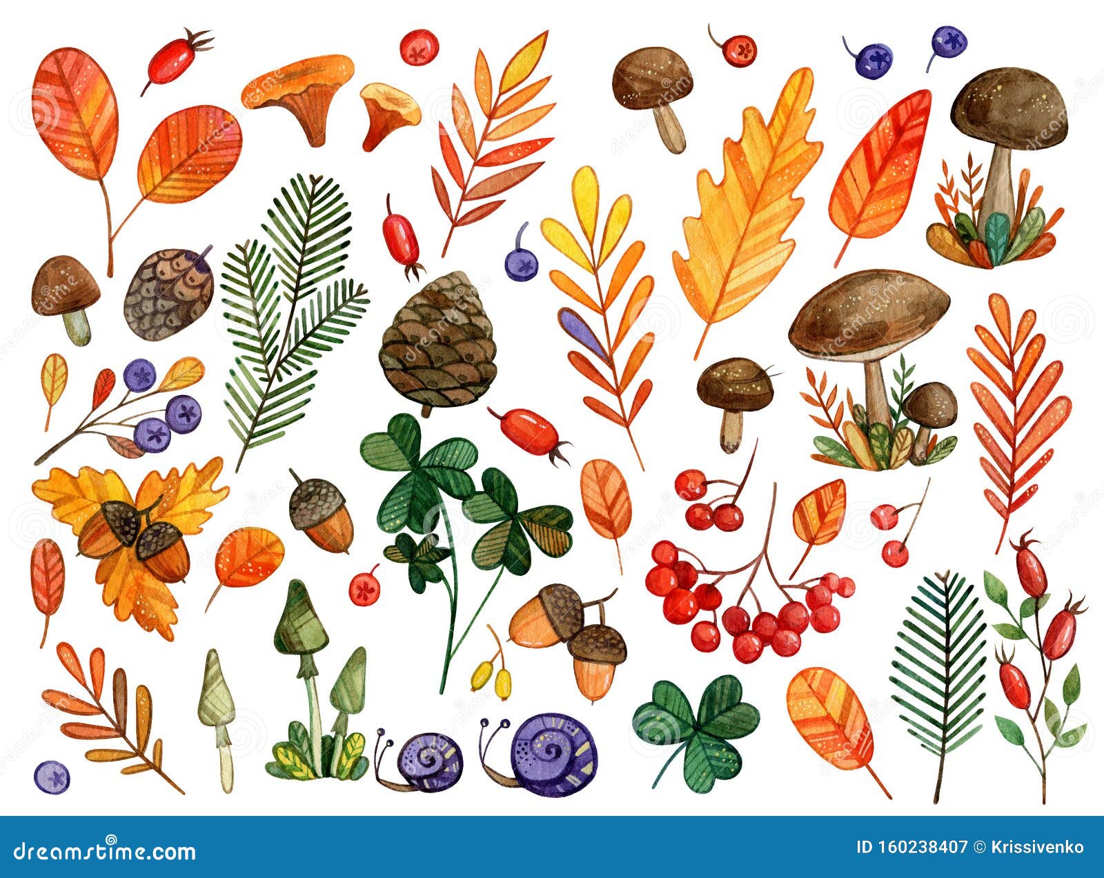 Download Large Watercolor Set Of Autumn Forest Elements Stock Image ...
