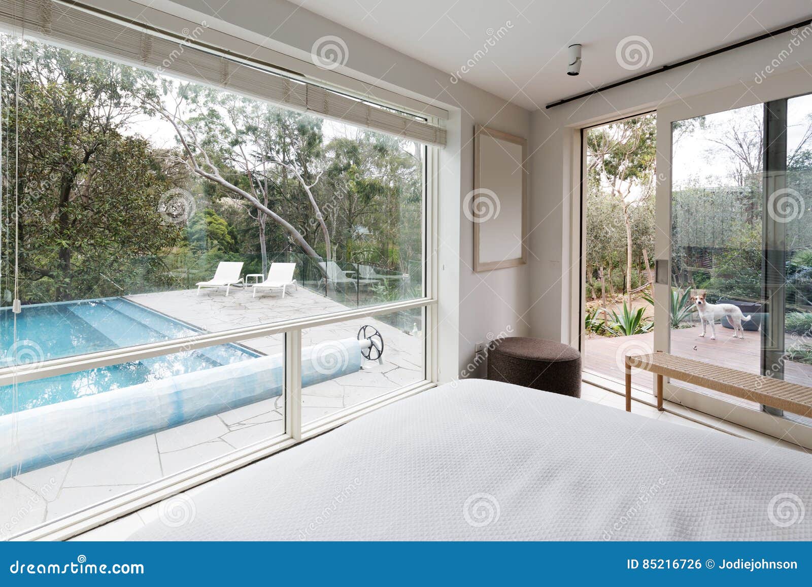 large windows showing view to pool and garden in luxury home