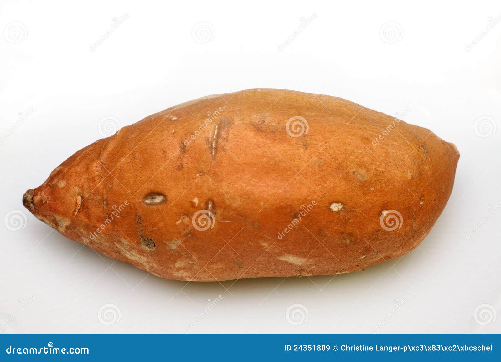 Large Yam Ready for Cooking Stock Image Image of starch, single 24351809