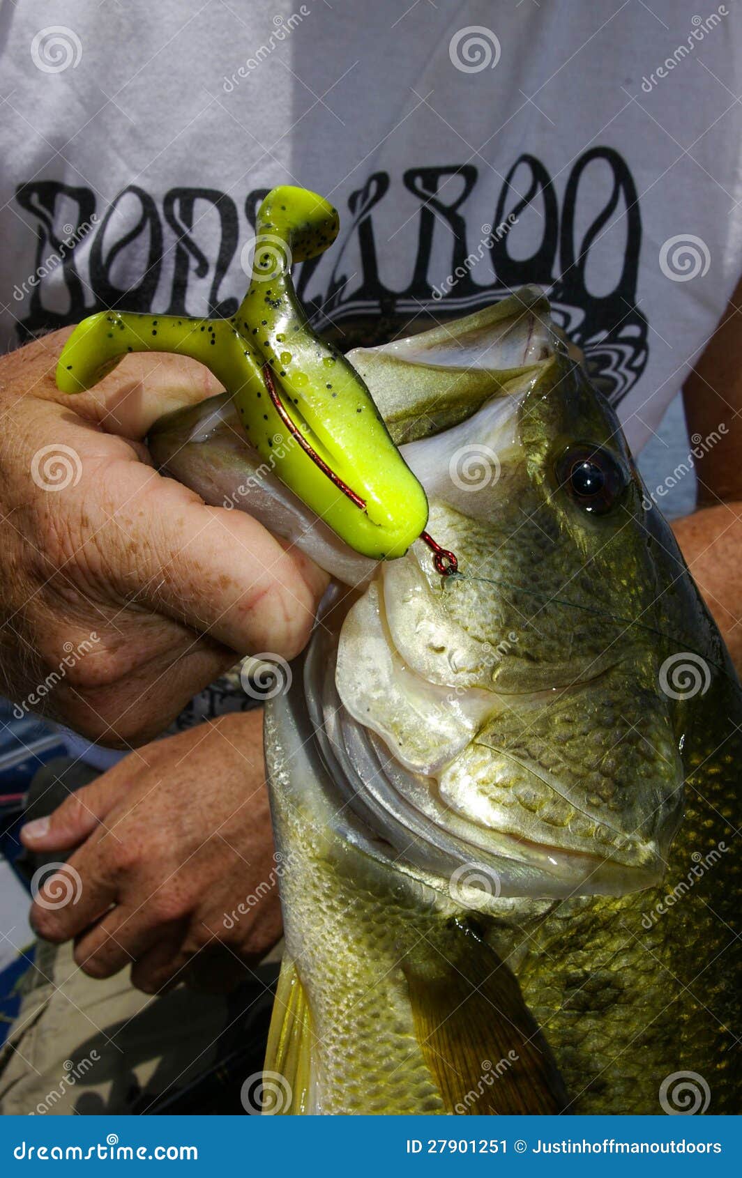 Large Mouth Bass Fishing Topwater Lure Bait Stock Image - Image of gill,  outdoor: 27901251