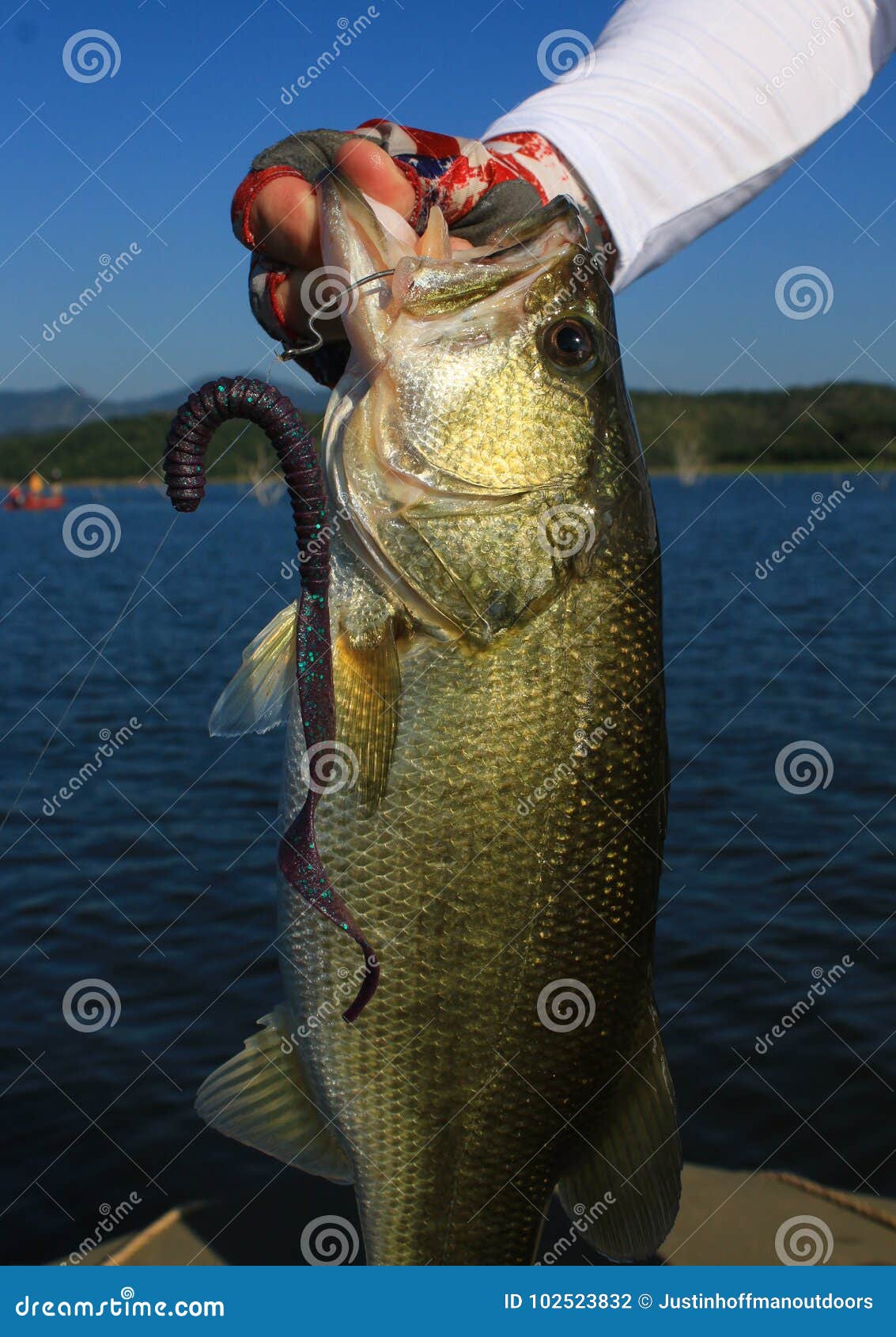 Bass Fishing Rubber Worm Bait Stock Photos - Free & Royalty-Free Stock  Photos from Dreamstime