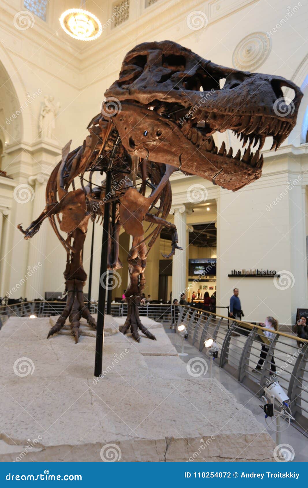 Flitsend Verdorie Allemaal Dinosaur editorial photography. Image of 6765, evolution - 110254072