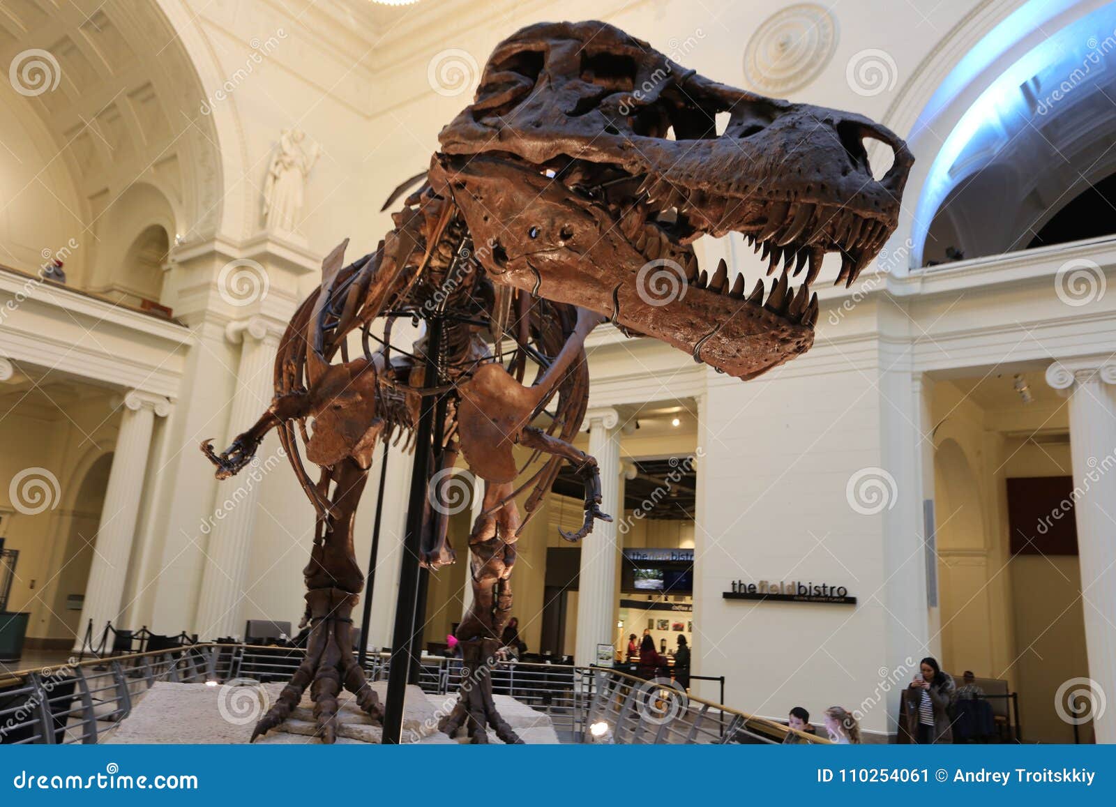 wasserette aansluiten Gedwongen Dinosaur editorial photo. Image of period, reproduction - 110254061