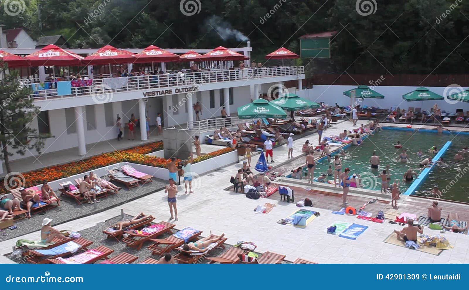 Largest Saltwater Pool in Romania Stock Video Video of active, summer