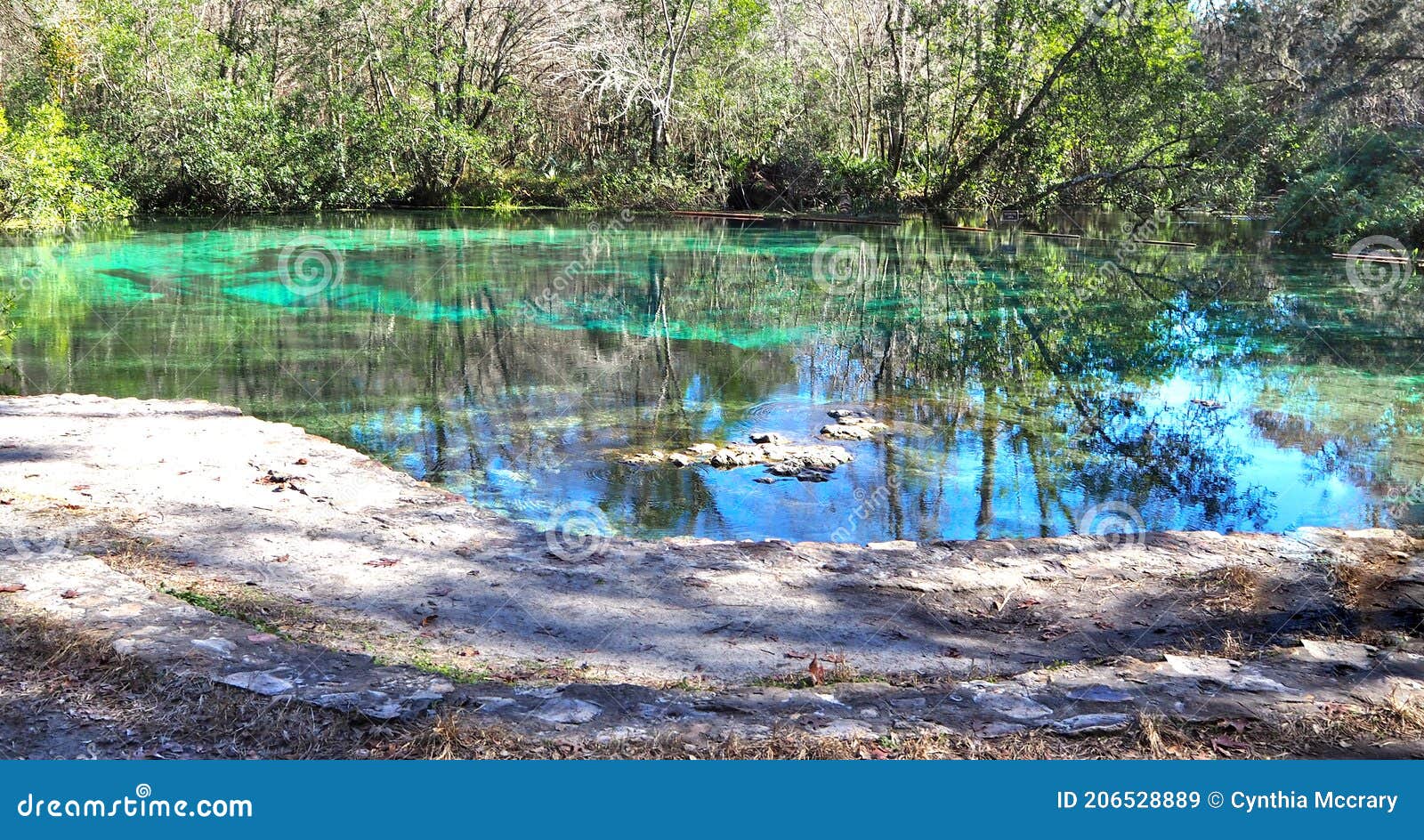 Blue Hole Springs at Ichetucknee Springs State Park Stock Image Image of park, spring 206528889