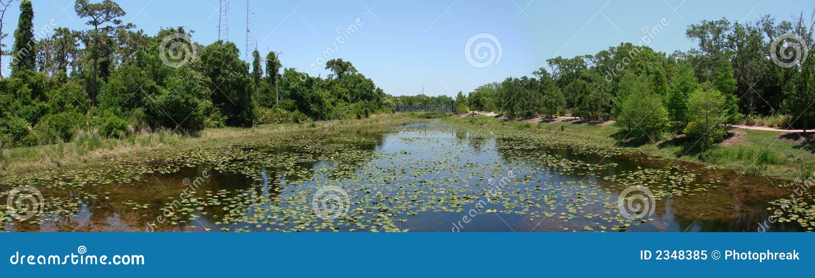 largo, florida landscape