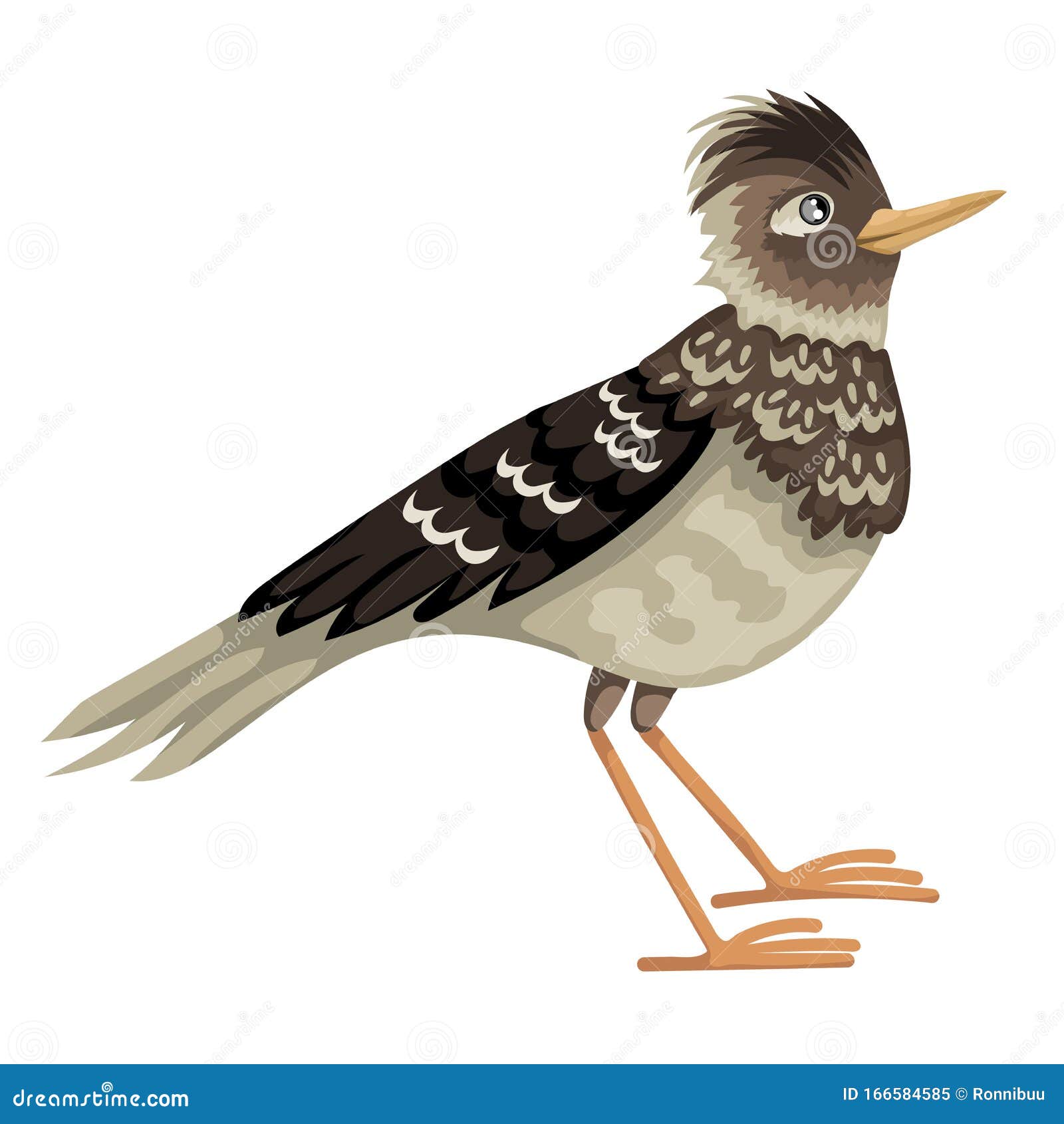Lark Cartoons Illustrations Vector Stock Images 979 Pictures To lark-cartoons-illustrations-vector-stock-images-979-pictures-to