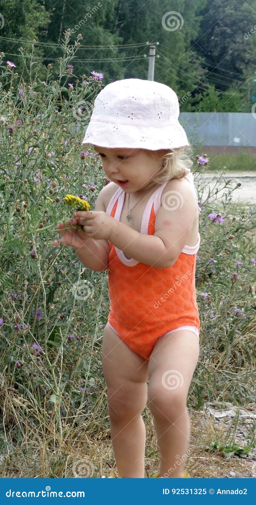 Larmes De Bebe Une Fleur Image Stock Image Du Herbe