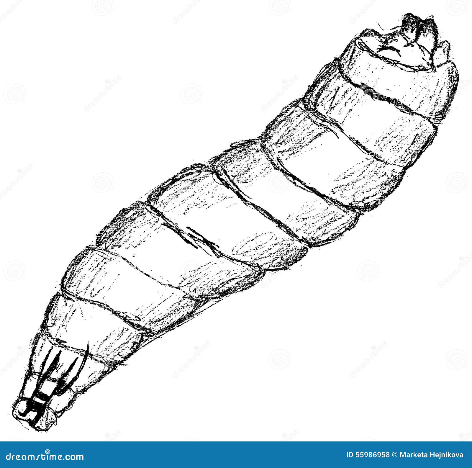 Larva stock photo Illustration of realistic enlargement  55986958