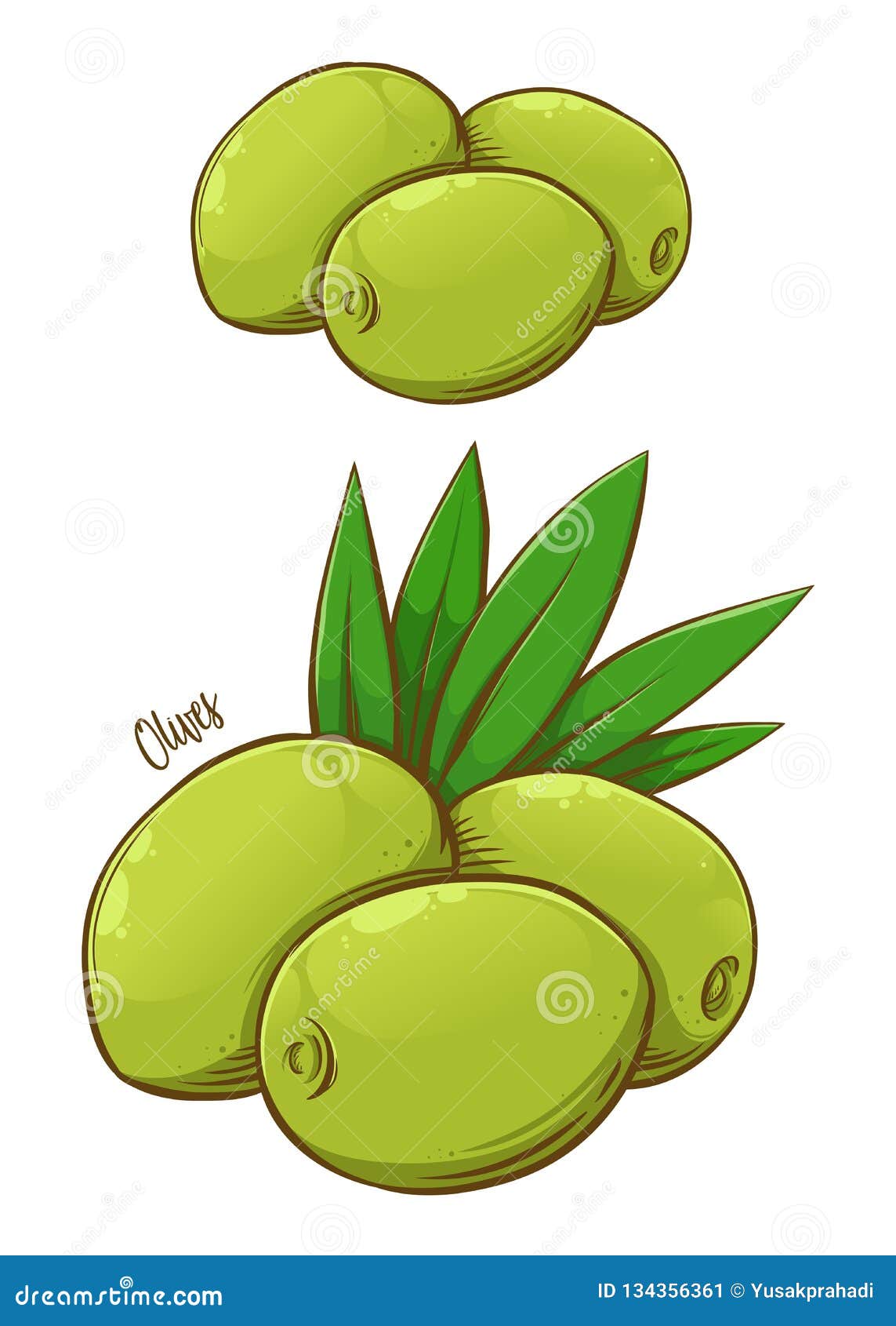 Las Aceitunas Frescas Dan El Dibujo Ilustración del Vector - Ilustración de  verde, agricultura: 134356361