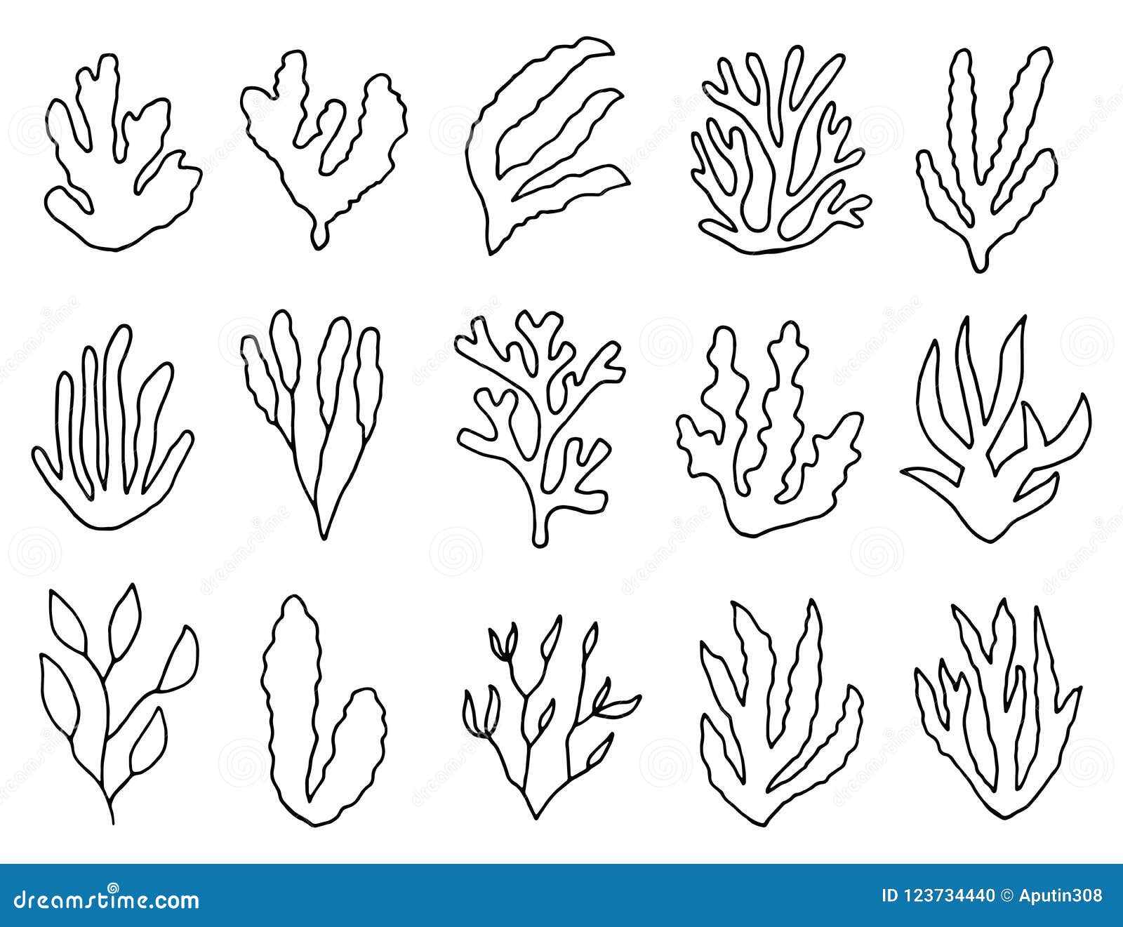 Las Algas Resumen Las Plantas Aisladas Sistema Linear Del Dibujo De Objetos  Ilustración del Vector - Ilustración de arte, bosquejo: 123734440