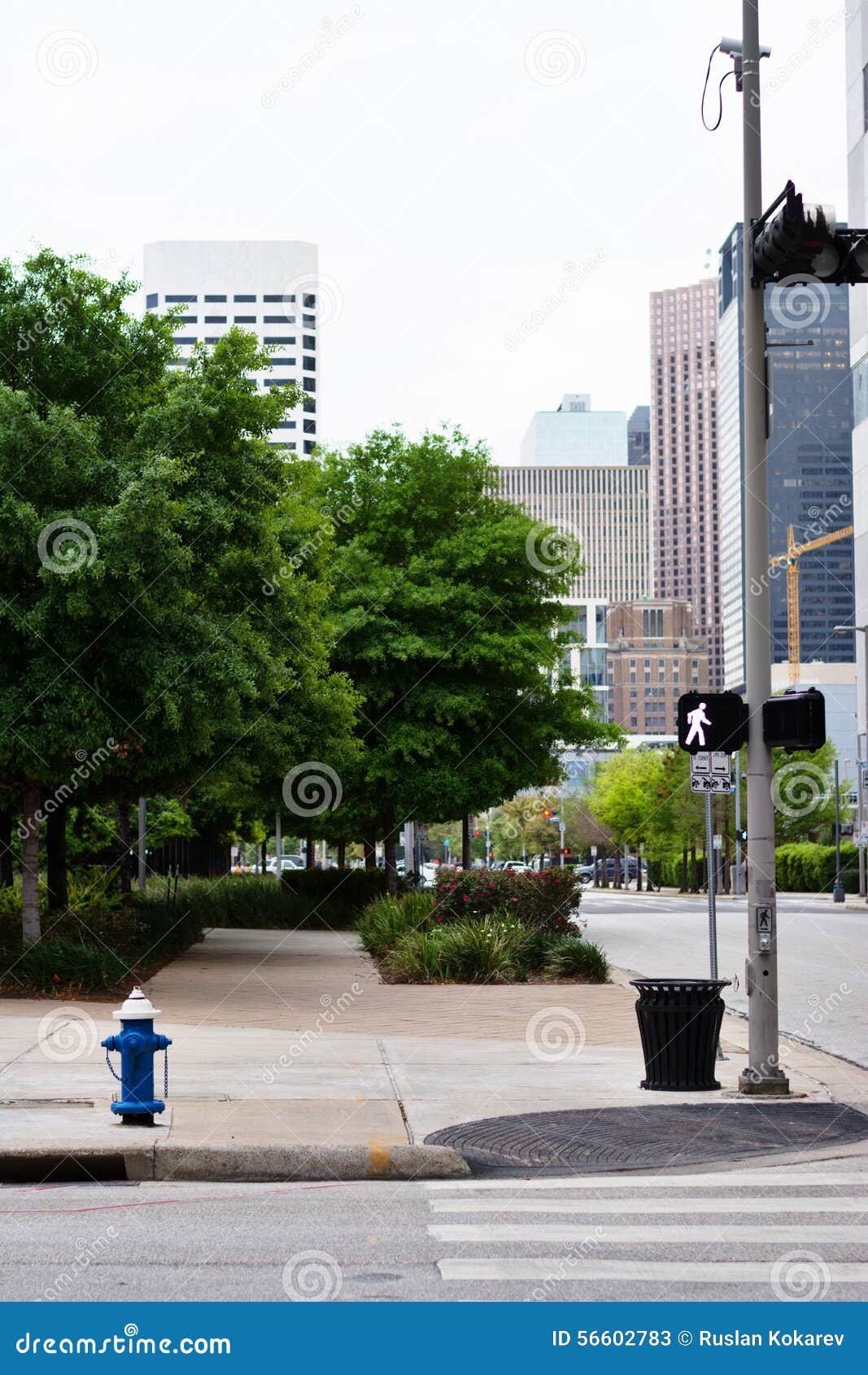 Las calles de Houston foto de