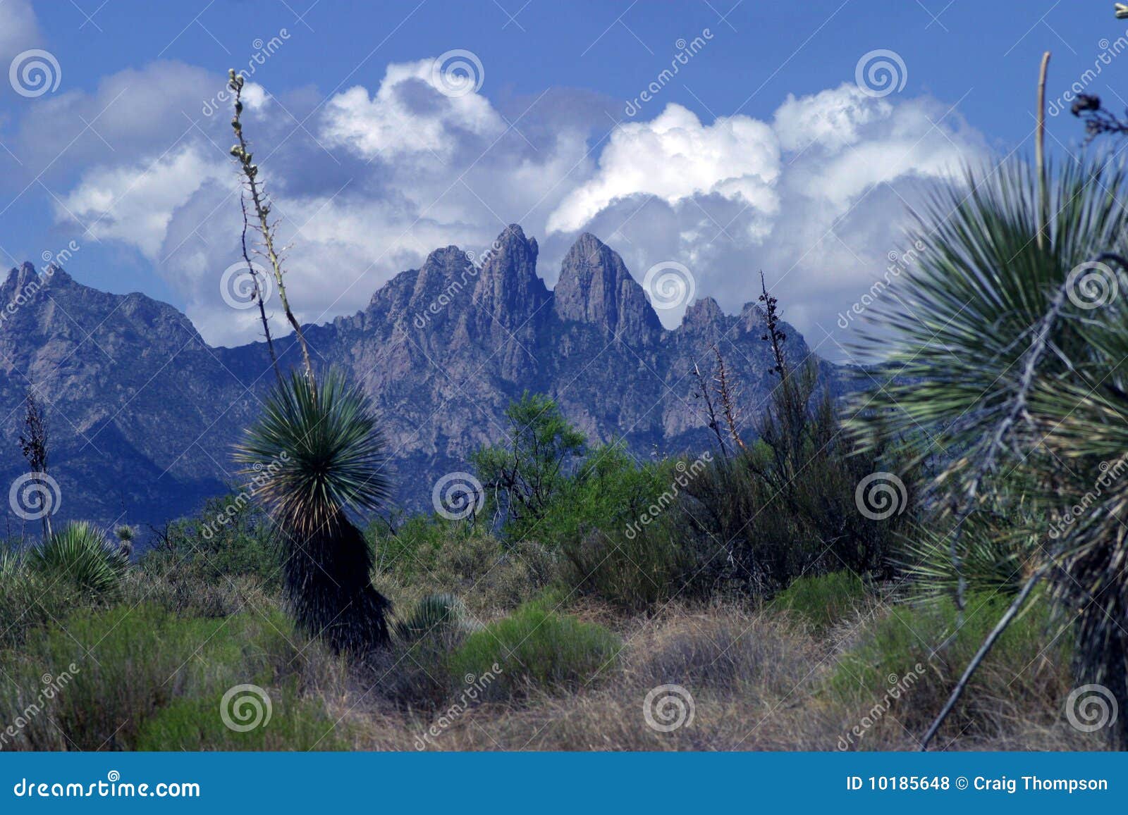 Las Cruces Mountains stock photo. Image of desert, landscape 10185648