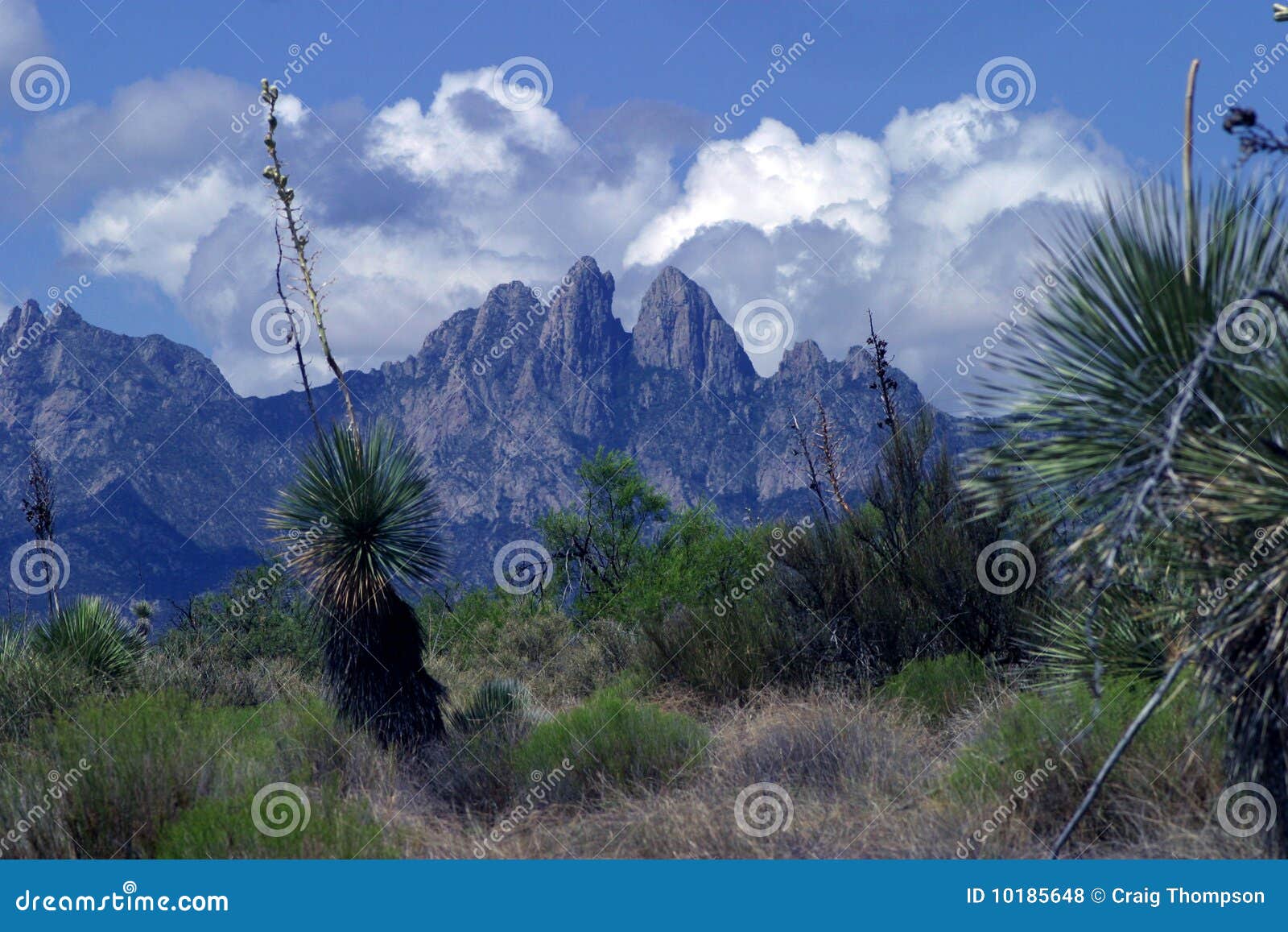 las cruces mountains