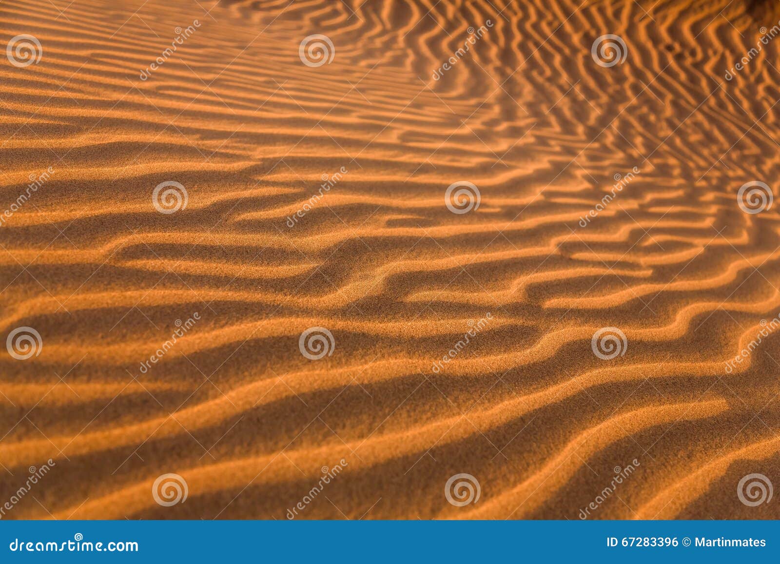 las dunas de maspalomas