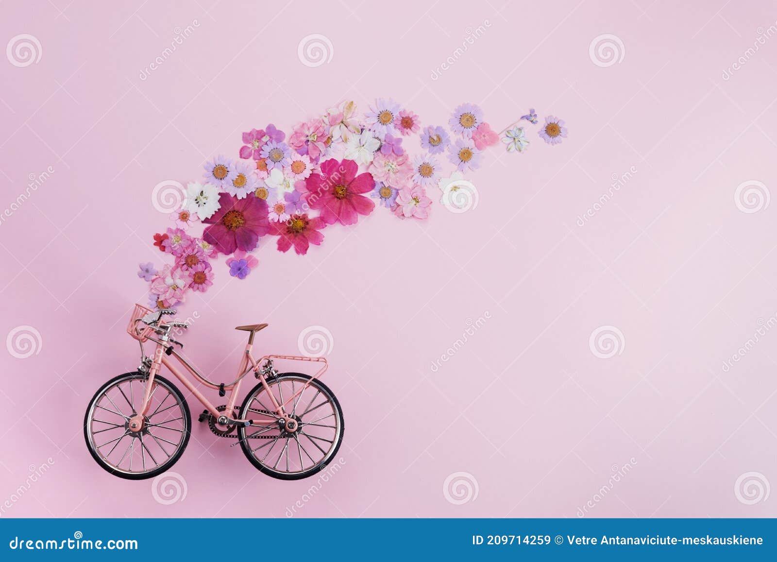 Las Flores Salen Volando Desde La Cuna Rosa De La Bicicleta Sobre Fondo  Rosa. Concepto Rumanista Para Mujeres De Día Valentino O D Imagen de  archivo - Imagen de romance, bici: 209714259