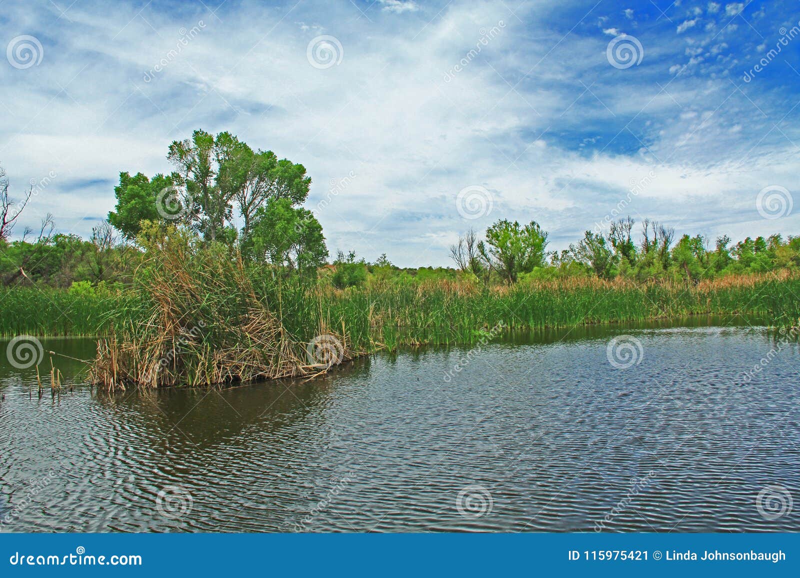las lagunas de anza wetlands