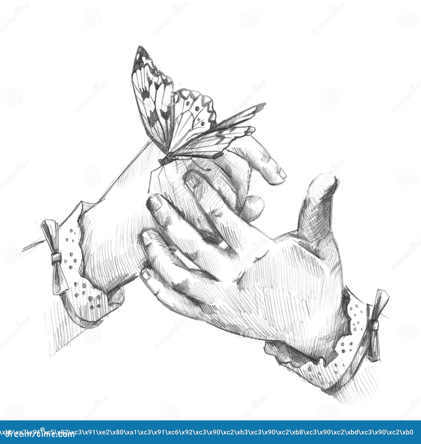 Las Manos Para Cuidar Al Bebe Sostienen A Una Mariposa Linda Imagen De Archivo Imagen De Cabrito Cabritos Las Manos Para Cuidar Al Bebe Sostienen A Una Mariposa Linda Imagen De Archivo Imagen De Cabrito Cabritos