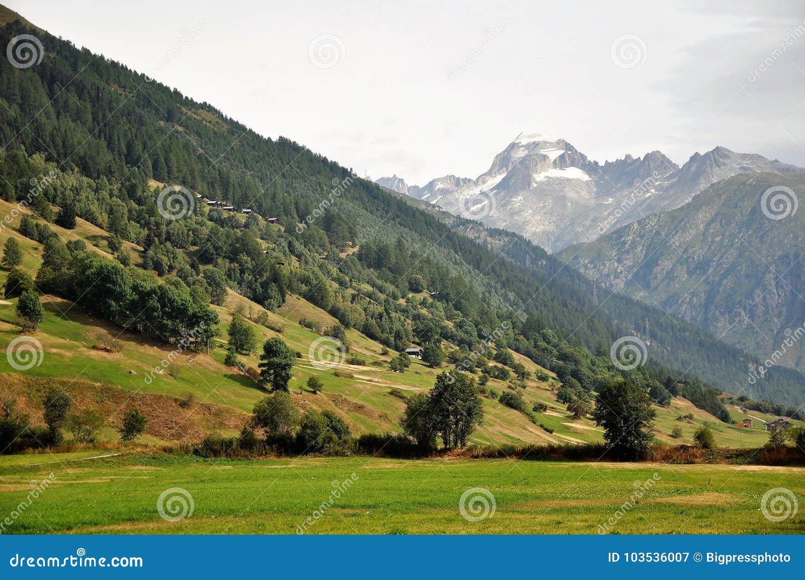 Las montañas del furka pasan en Suiza. Las hojas coloreadas de la estación del otoño en furka pasan en las montañas suizas con el countrye y las montañas alpinos los árboles otoñales de los suizos de Valais Suiza