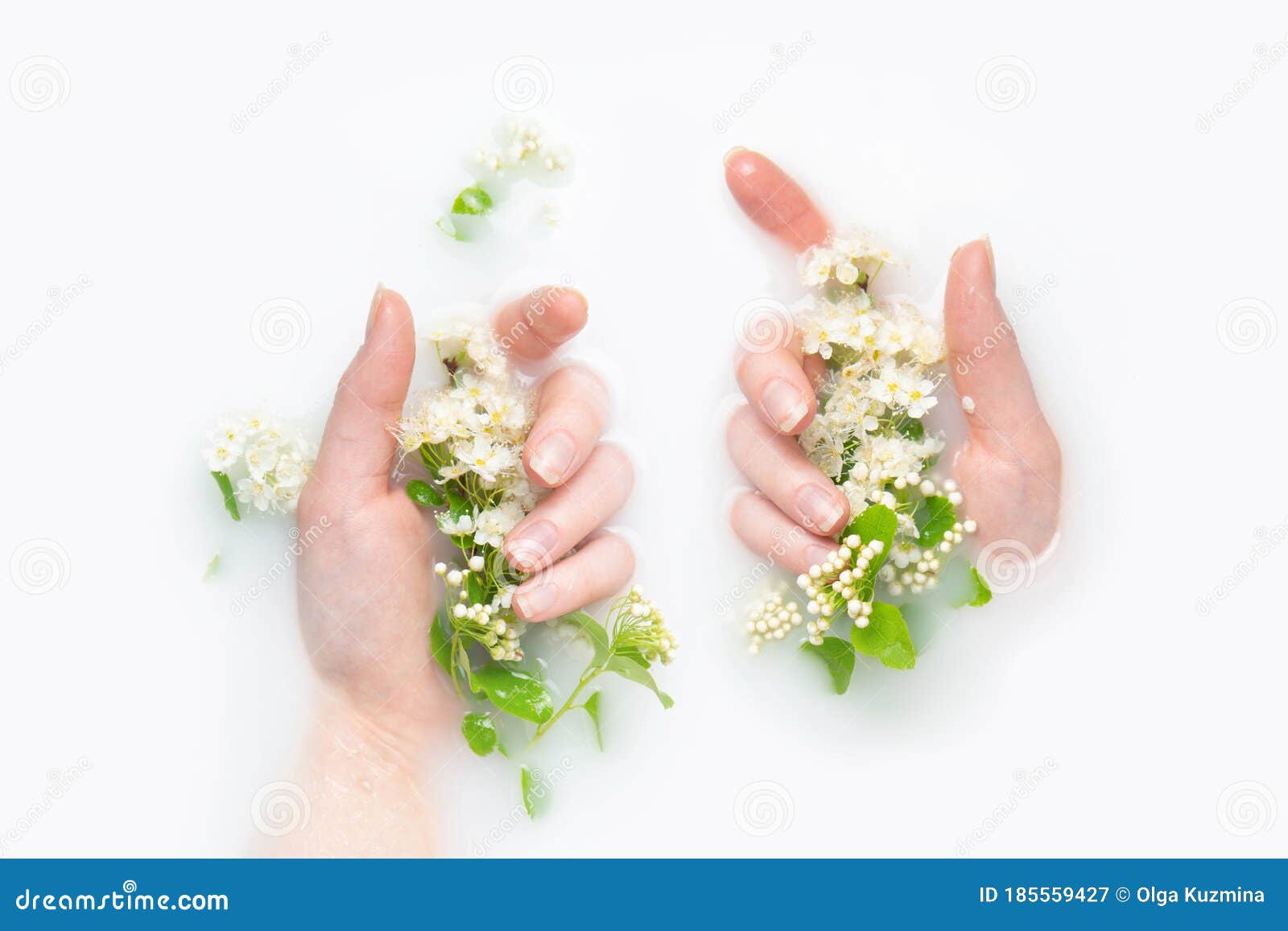 parilla nudo lana Las Palmas De Una Muchacha En Un Baño Con Leche Y Flores. Espacio De Copia Fijo. El Concepto De Pureza Ternura Frescura Juventud. Imagen de archivo - Imagen de arte, copia: 185559427 parilla nudo lana Las Palmas De Una Muchacha En Un Baño Con Leche Y Flores. Espacio De Copia Fijo. El Concepto De Pureza Ternura Frescura Juventud. Imagen de archivo - Imagen de arte, copia: 185559427