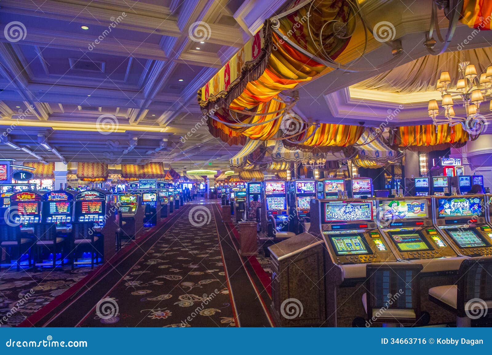 Jumba bet casino sign up online