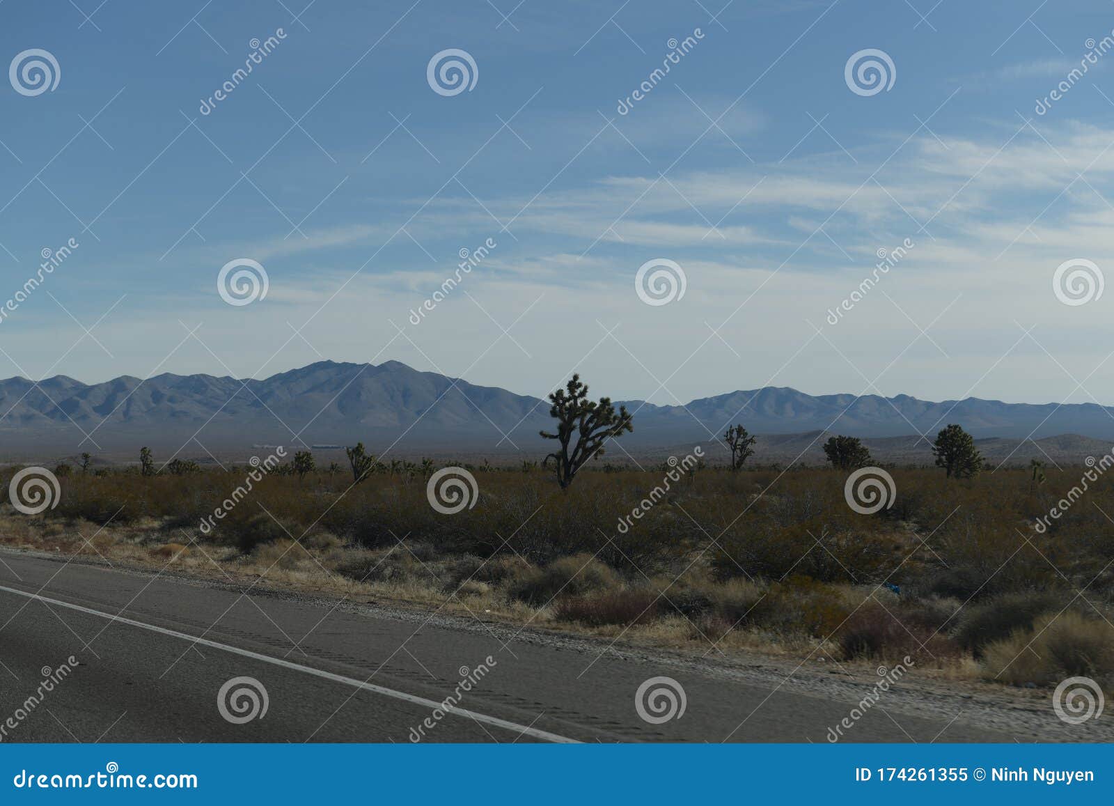 Near Near