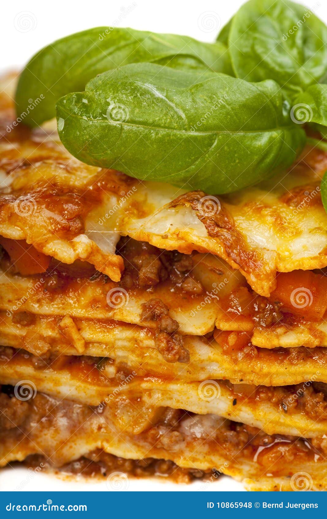 Lasagna stock photo. Image of portion, cooked, chopping 10865948