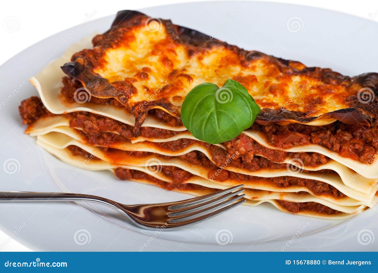 Lasagna stock photo. Image of meal, layer, fresh, food 15678880