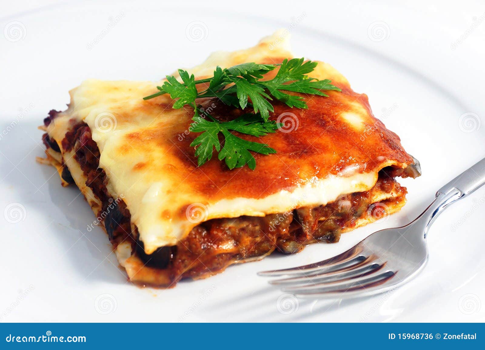 Lasagna stock photo. Image of meat, crispy, meal, background 15968736