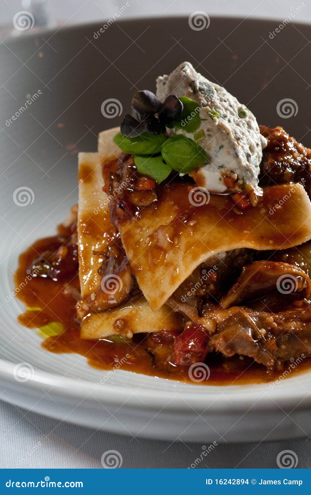 Lasagna of braised lamb stock photo. Image of food, sauce 16242894