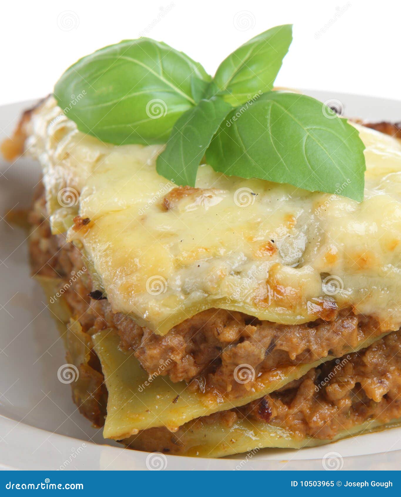 Lasagna Verdi stock image. Image of isolated, cooked - 10503965