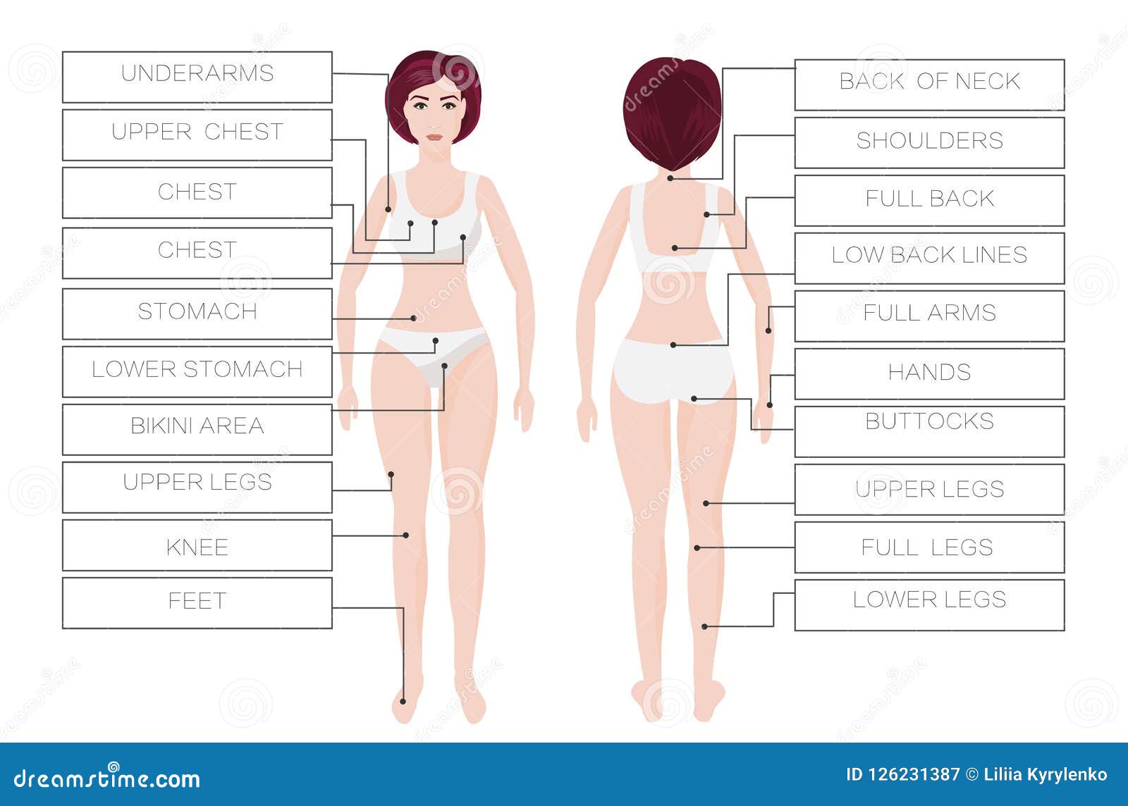 laser hair removal female zones. area body woman. ipl procedure
