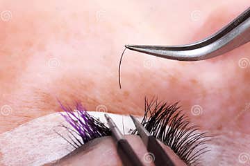 Lashmaker Making Artificial Lashes Stock Image - Image of build