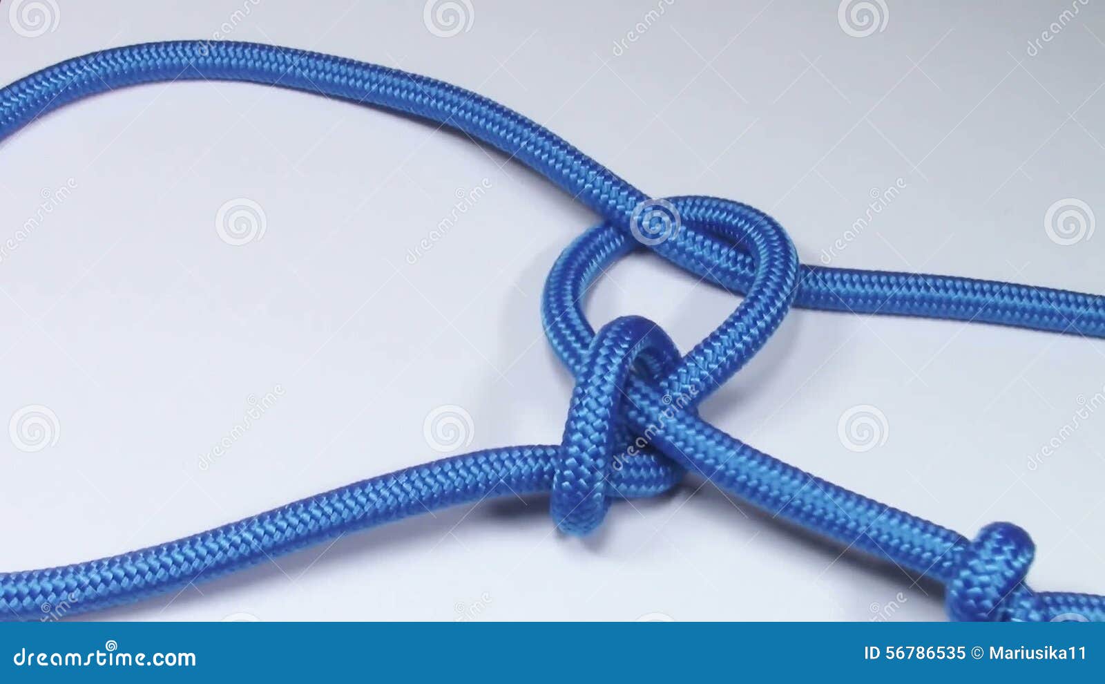 Lasso knot tying stock video. Video of circle, strong - 56786535