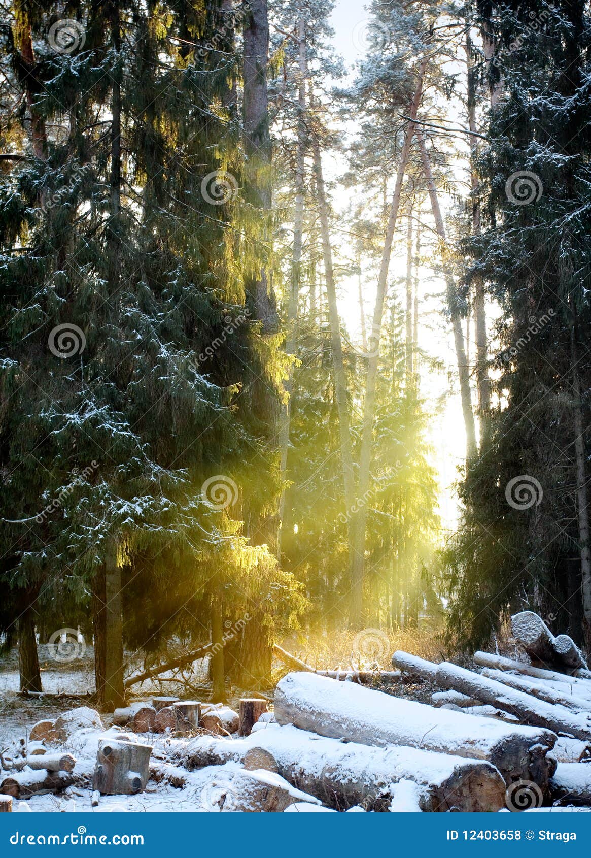 Last day of December stock photo. Image of beautiful - 12403658