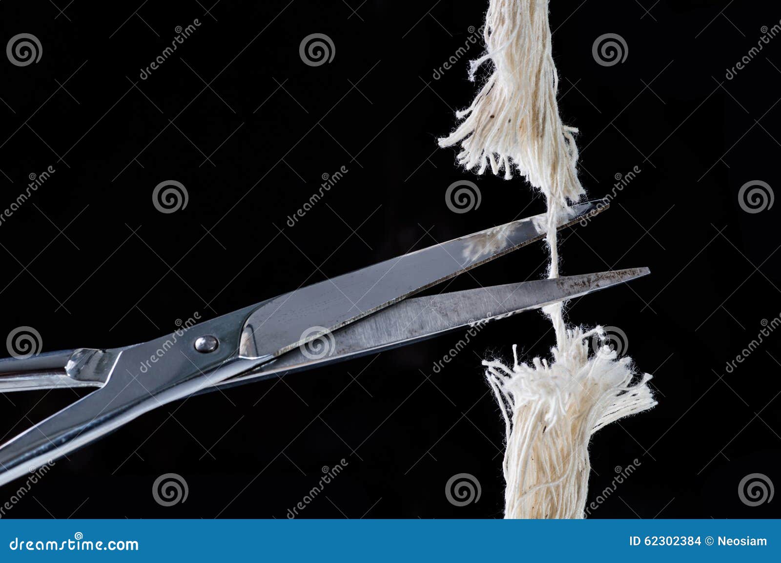 Last rope stock photo. Image of danger, growth, fraying - 62302384