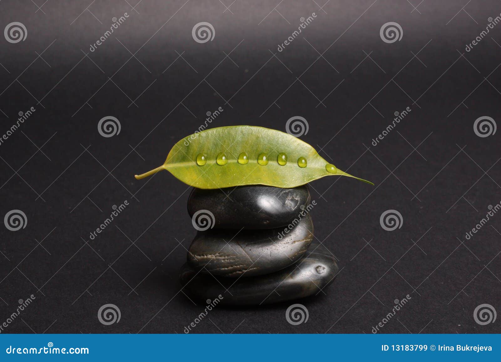 Lastone stock image. Image of nature, shot, lush, health - 13183799