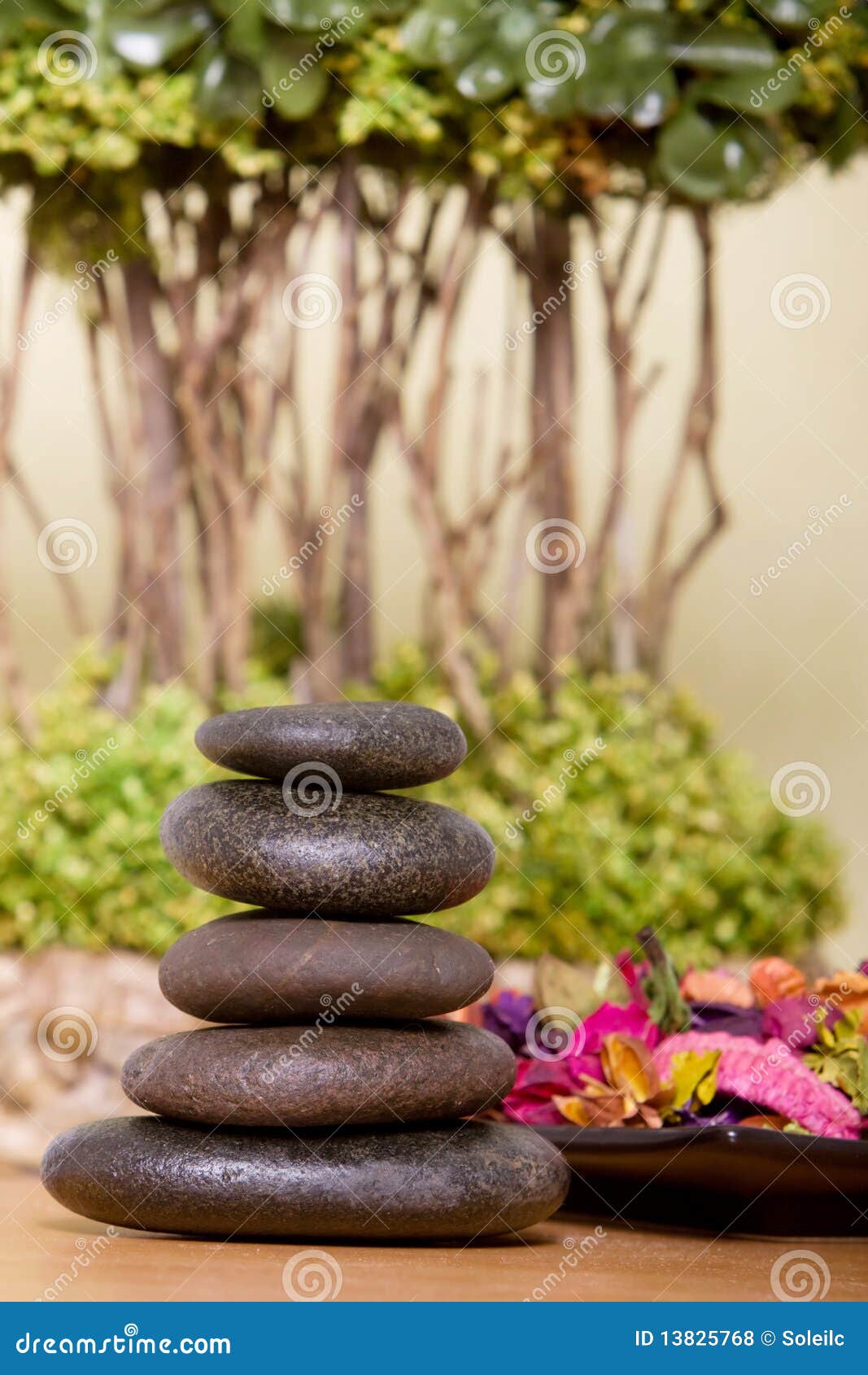 Lastone therapy stock photo. Image of stone, objects - 13825768