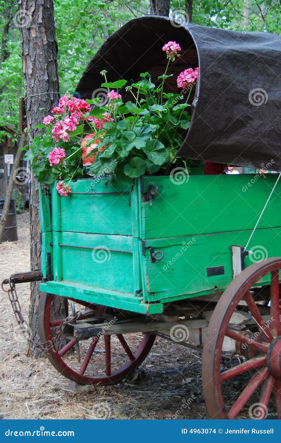 Lastwagen mit Blumen. Ein Weinleseart-Grünlastwagen mit recht rosafarbenen Blumen in ihm