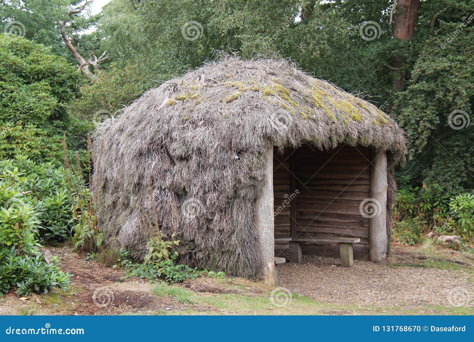 Lasu schronienie. A Thatch Covered Wooden Rural Woodland Shelter.