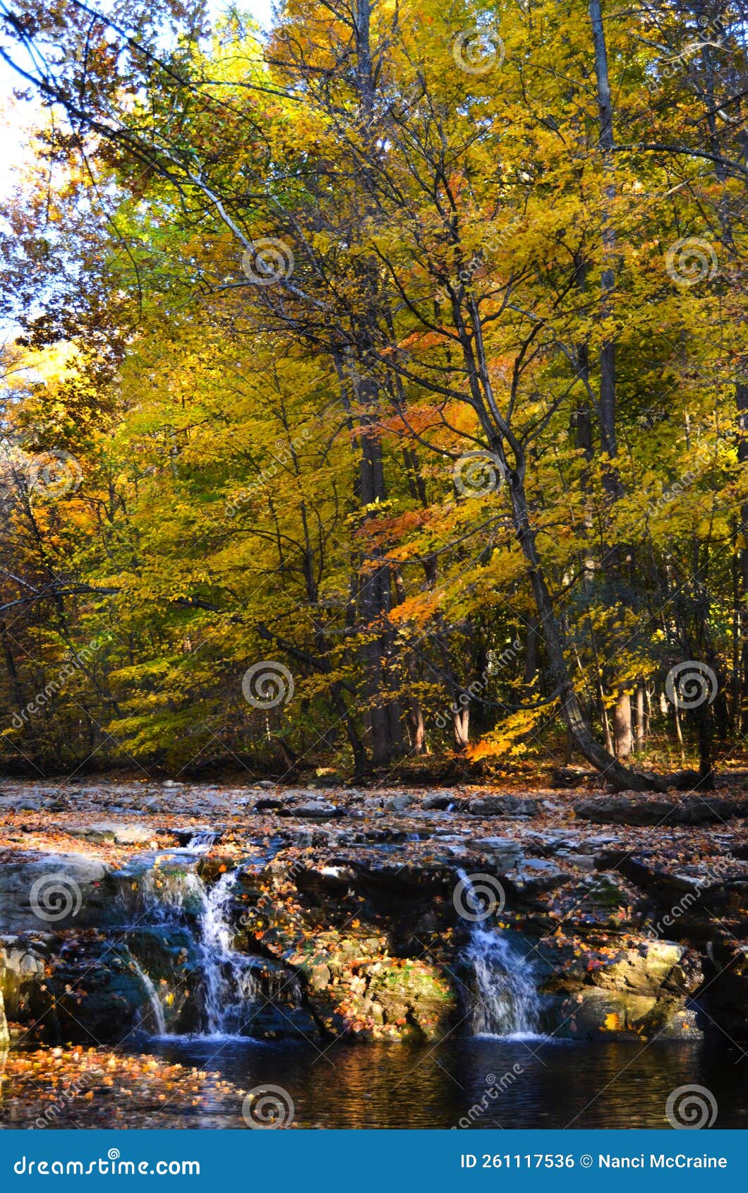 Late Afternoon Light on the FingerLakes Great Gully Falls Near Aurora