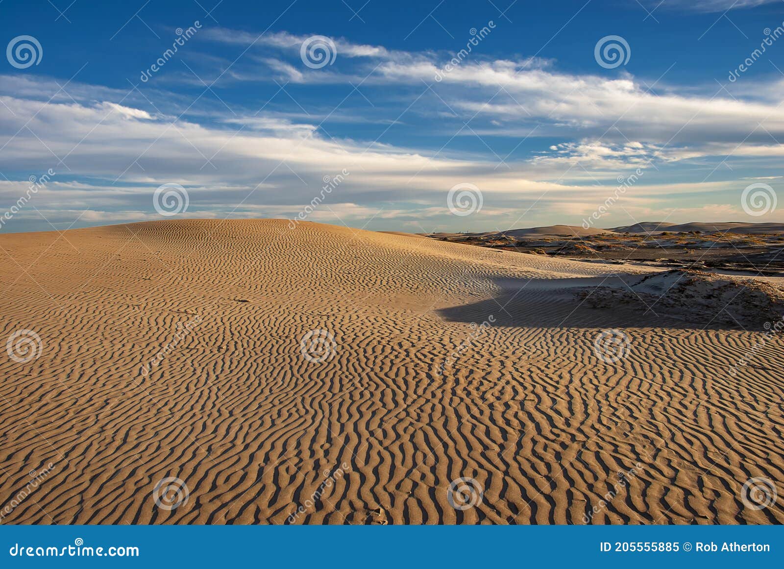 the late afternoon sun casts shadows across the sand dunes at adolfo lopez mateos in baja california