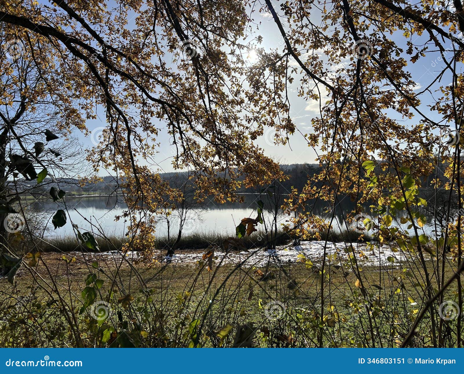 late autumn atmosphere on the swiss katzenseen lakes or katzensee lakes (katzen lakes), regensdorf - switzerland