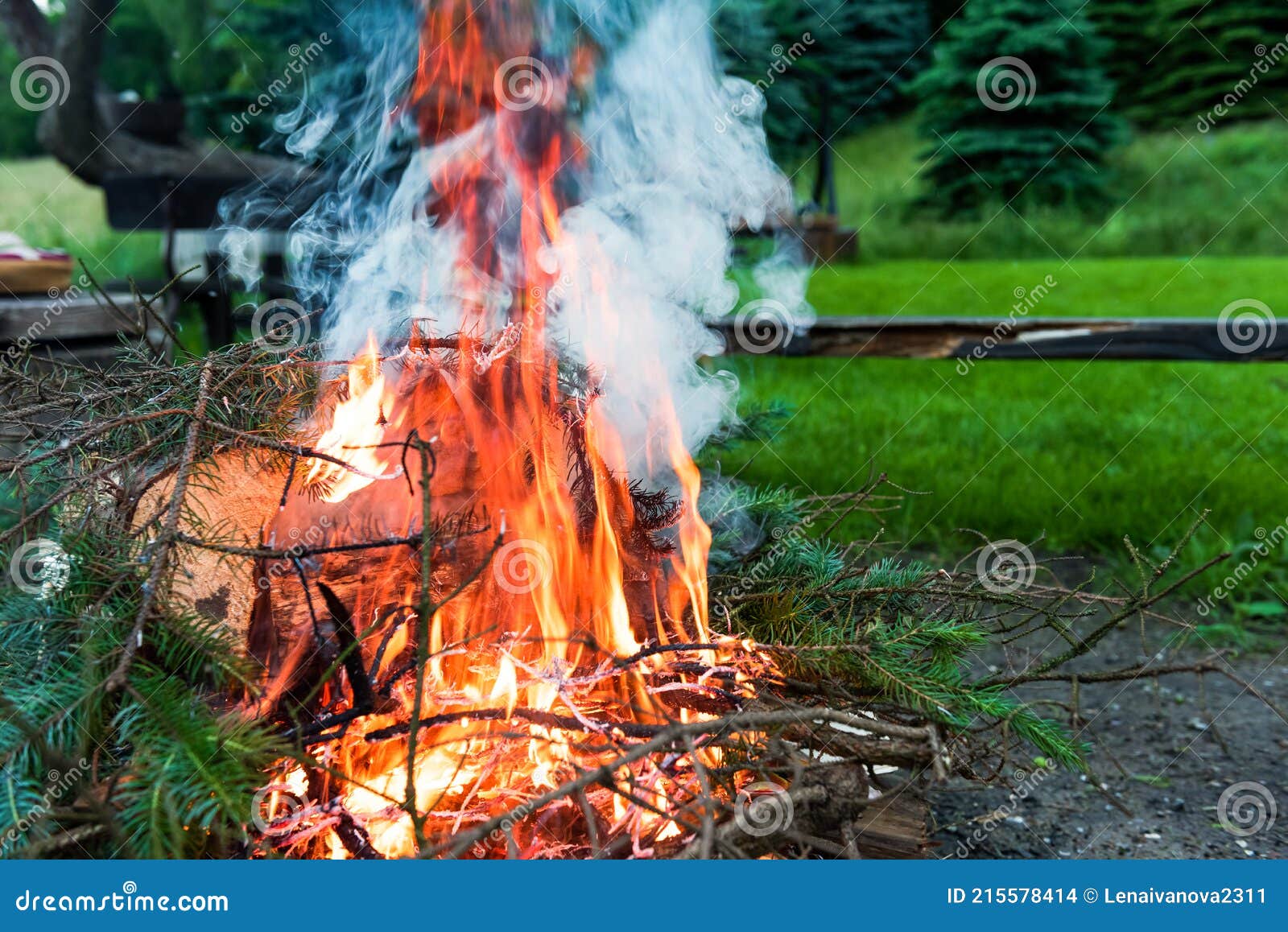 Late Evening Campfire. Burning Bonfire in the Evening Stock Photo ...