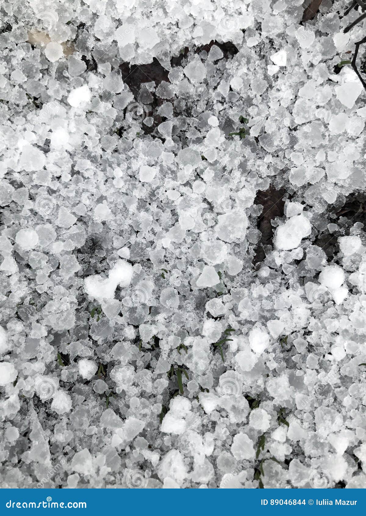 Late Snow with Hailstones on the Ground Stock Photo Image of rain