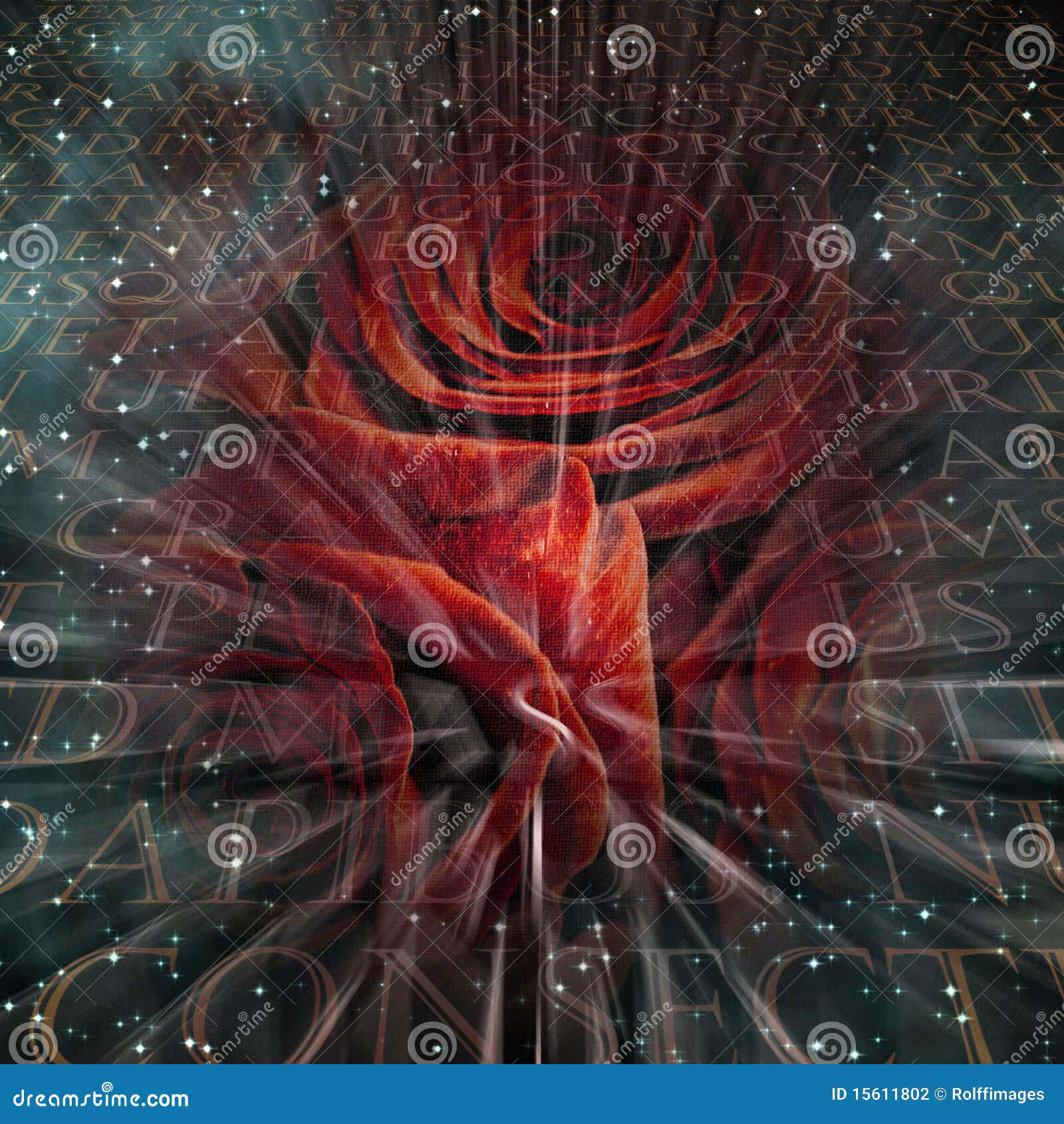 Latin Roses stock illustration. Illustration of decorative 15611802