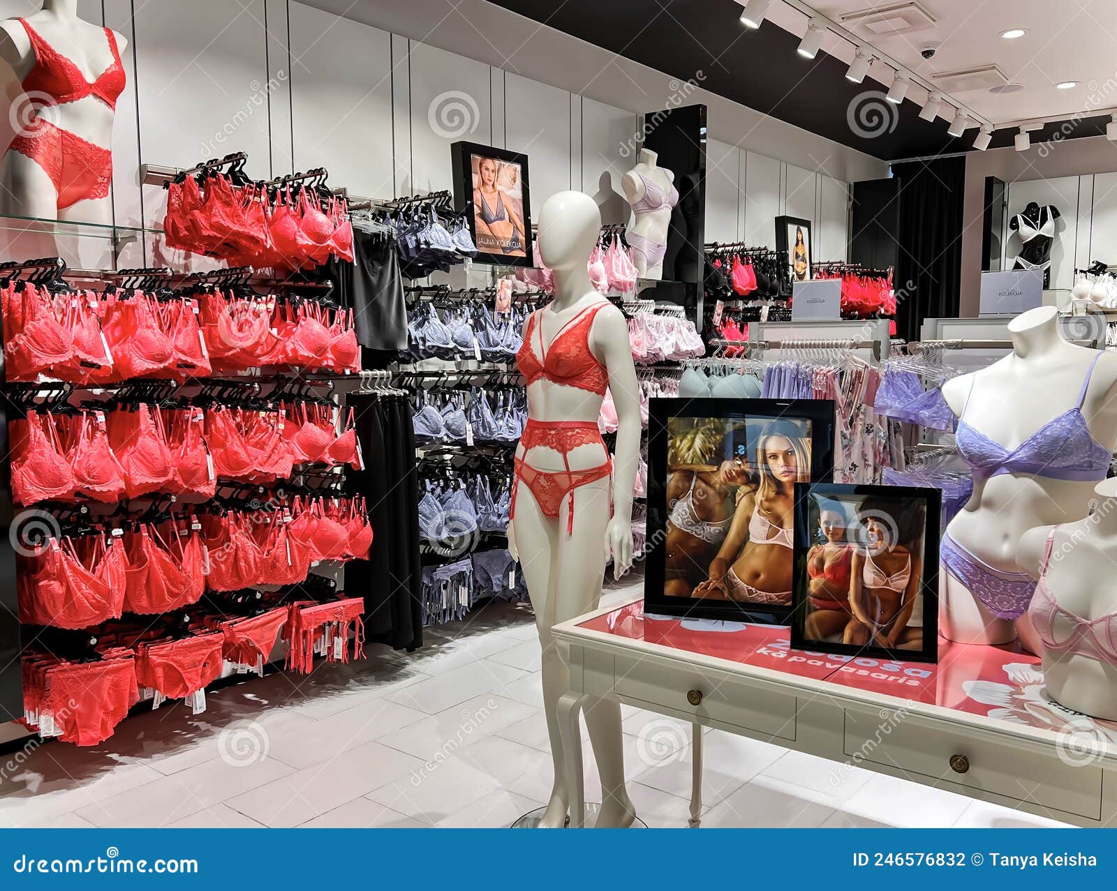 Modern and Trendy Lingerie Store Interior. Editorial Photography