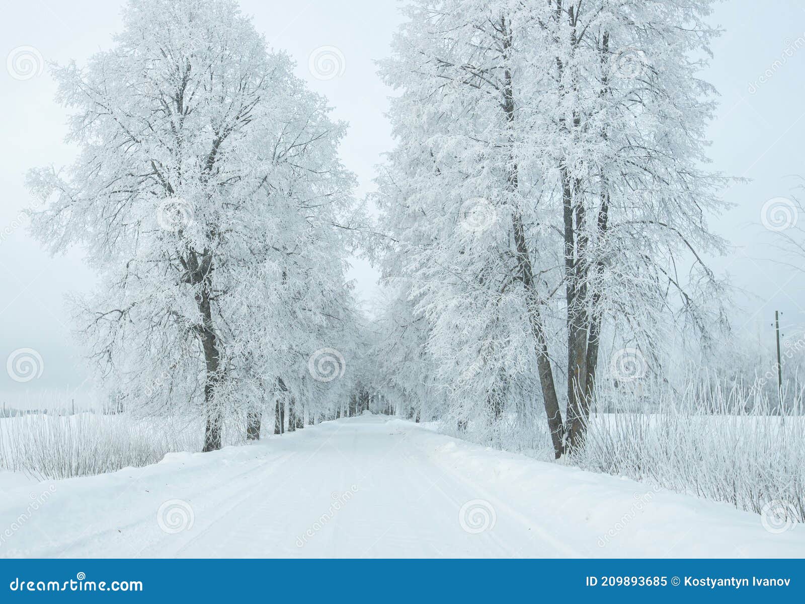 latvian countryside in winter, february 2021